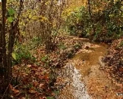 AntigíÂ¼o cauce de un molino