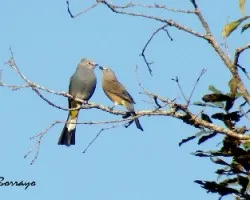 parejita de enamorados