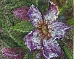Flor