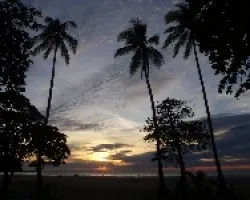 Atardecer