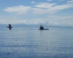 En el golfo de Nicoya