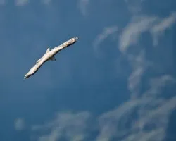 milano en vuelo 3