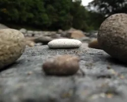 rocas