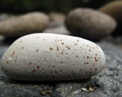 rocas