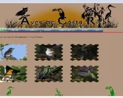 para aves de costa rica