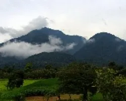 Volcán Miravalles 