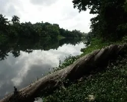 Rio Amendares