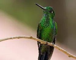 Mirada de reojo