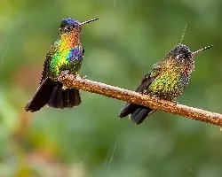 Bajo la lluvia