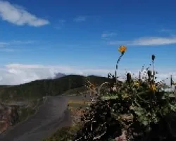 En la cima