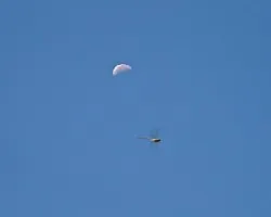 libelula luna