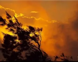 atardecer