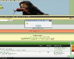 error