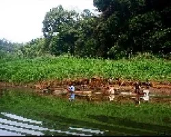 Río Chagres, Panamá