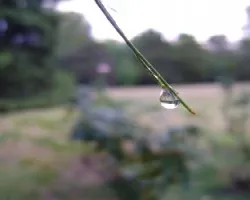 La ultima gota