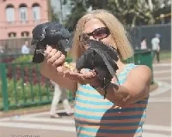 Por las palomas me conocen!!!!