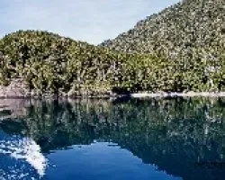 Reflejos
