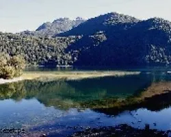 Reflejos