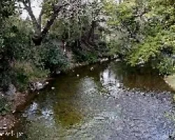 Lago Rosario