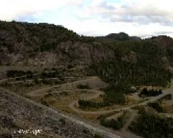 Curvas