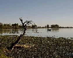 Laguna de Navarro