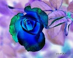 Azul