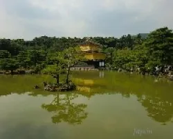 Japón