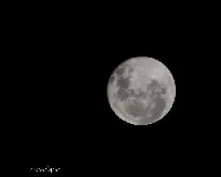 Otra a pulso!!!!