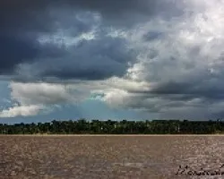 Amazonas