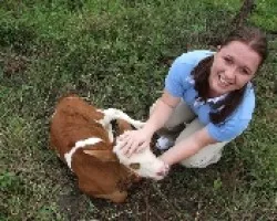 Mi esposa y un ternero