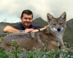 mascotica
