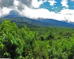 Panoramica