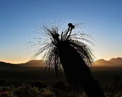 En Australia