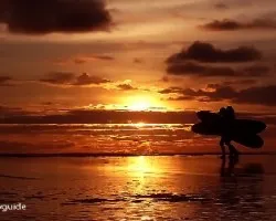 Tamarindo