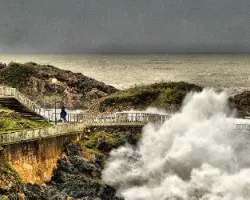 temporal
