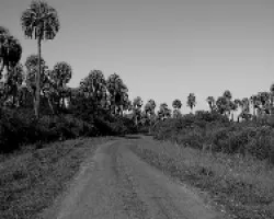 Camino al observatorio