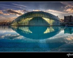Reflejos I