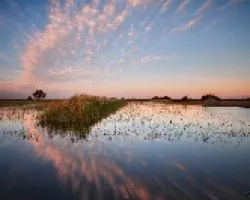 Reflejos al atardecer.