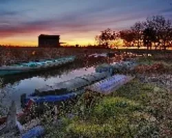 Amanecer con naranjas
