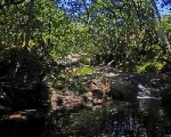Garganta