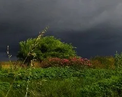 La tempestad