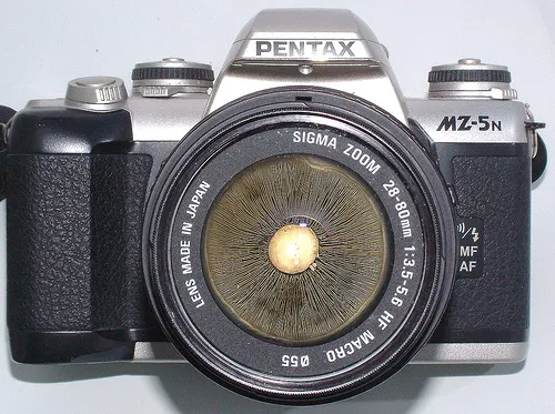 Foto