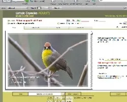 FileMaker