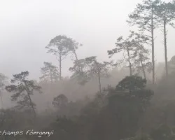 Sierra Madre Oriental