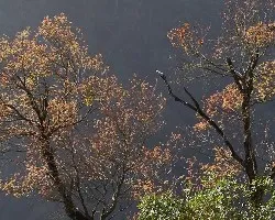 Sierra Madre Oriental