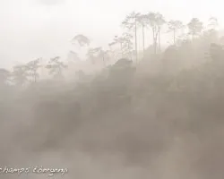 Sierra Madre Oriental
