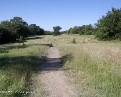 camino en la reserva