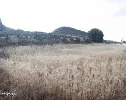 trigales en Epazoyucan