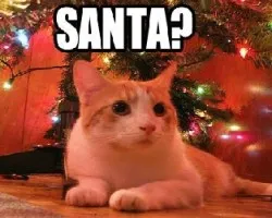 Santa???