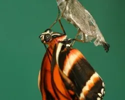 Recien nacida